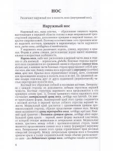 Функциональная анатомия ЛОР-органов