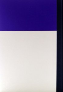 Доказательный опыт успешной инклюзии учащихся с РАС. Практическое руководство