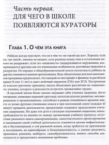 Педагогическая поддержка в школе и система работы индивидуальных кураторов