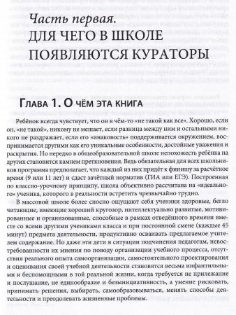 Педагогическая поддержка в школе и система работы индивидуальных кураторов