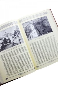 Свято-Троицкая Александро-Невская Лавра: 1913-2013. В двух томах