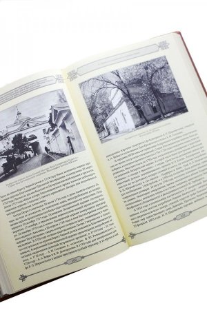 Свято-Троицкая Александро-Невская Лавра: 1913-2013. В двух томах