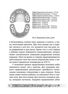 Грудной ребенок: уход и кормление